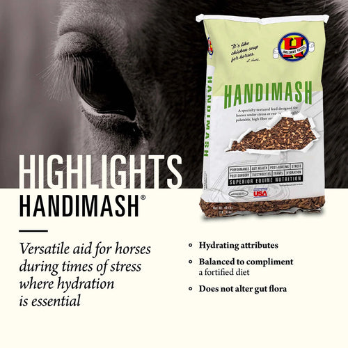 Hallway Feeds HandiMash™ Hydrating Mash to Supplement the Ration - 40lbs