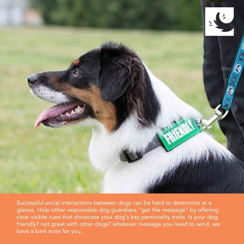 RC Pets Bark Notes - 1