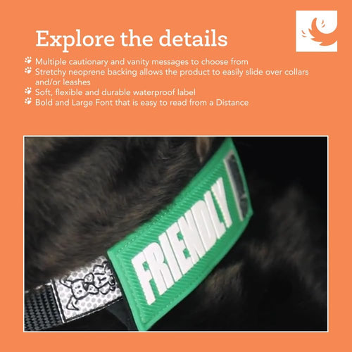 RC Pets Bark Notes - 1