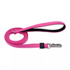 Inspire Dog Leash - 1 x 6'