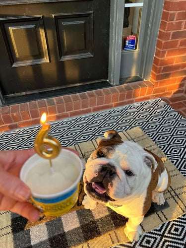 The Bear and the Rat Frozen Banana & Peanut Butter Dog Treat - 3.5oz, Pack of 4