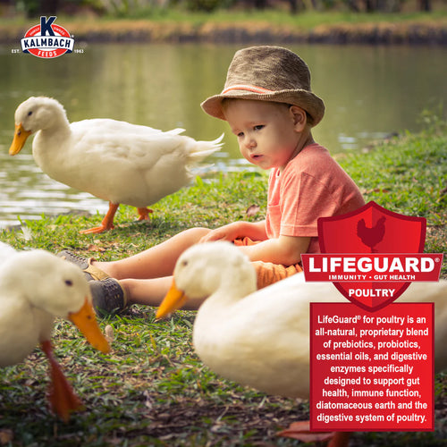 KALMBACH FEEDS Duck, Goose & Swan MINI PELLET - 50LB