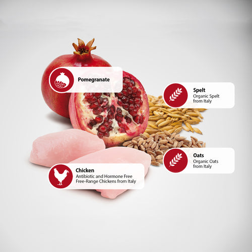 Farmina N&D Chicken & Pomegranate Puppy Mini Dry Dog Food - 15.4lb