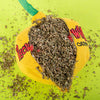 YEOWWW! SOUR PUSS LEMON CAT TOY