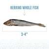 Icelandic+ Herring Whole Fish Cat Treats - 1oz