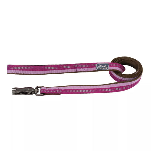 K9 Explorer Reflective Dog Leash with Scissor Snap