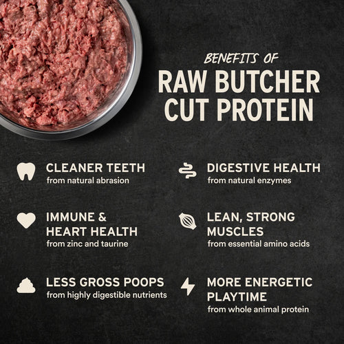 Vital Essentials Frozen Raw Fusion Beef Recipe Dog Food Patties - 4.7lb