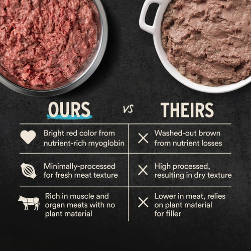 Vital Essentials Frozen Raw Fusion Beef Recipe Dog Food Patties - 4.7lb