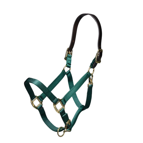 Nylon Halter With Leather Head Strap
