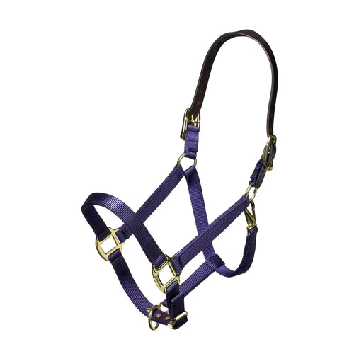 Nylon Halter With Leather Head Strap