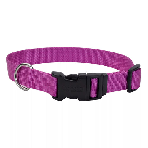 Coastal Medium 3/4 14-20 Adjustable Dog Collar with Plastic Buckle