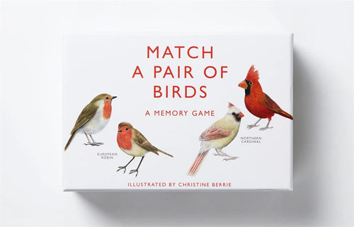 Match a Pair of Birds A Memory Game