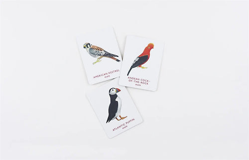 Match a Pair of Birds A Memory Game
