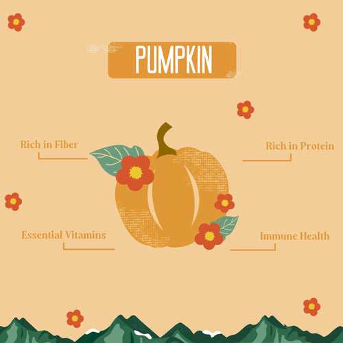 YAK-9 Pumpkin Cheese Chews for Dogs - Small 1 piece (4oz)