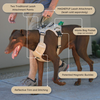 MAGNEPUP Click & Go Standard Harness - Large
