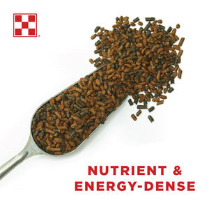 Purina® Ultium® Competition Horse Formula - 50lb