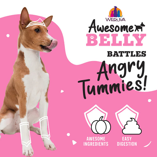 Weruva Awesome Functions Awesome Belly Chicken Breast, White Rice & Pumpkin Dog Food Recipe In Broth - 14oz