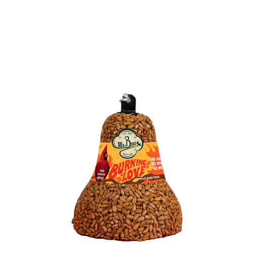 Mr. Bird Burning Love Seed Bell