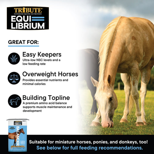 TRIBUTE Equi-Librium™ Balancer Horse Food - 50lb