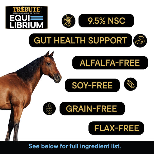 TRIBUTE Equi-Librium™ Balancer Horse Food - 50lb