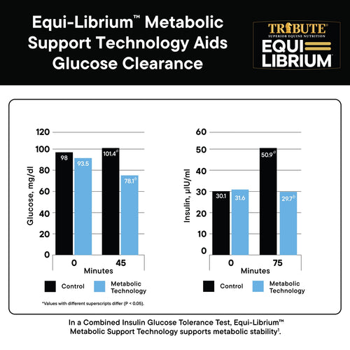 TRIBUTE Equi-Librium™ Balancer Horse Food - 50lb
