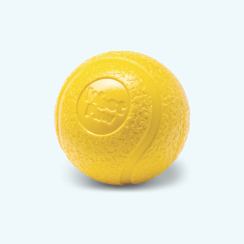 Boundr Large Dandelion Dog Toy