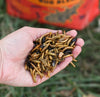 Happy Hen Bug Bonanza™ - 30oz