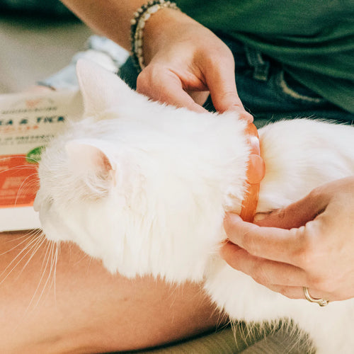 Wondercide Flea & Tick Collar for Cats with Natural Essential Oils