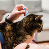 Wondercide Flea & Tick Spot On for Cats with Natural Essential Oils