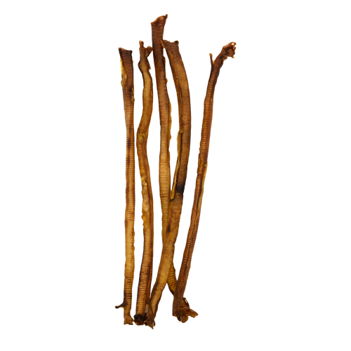 Jones Natural Chews Turkey Windees – Medium 3-6 - 1 Each