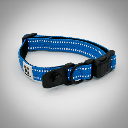 MAGNEPUP CLICK & GO COLLAR - MEDIUM
