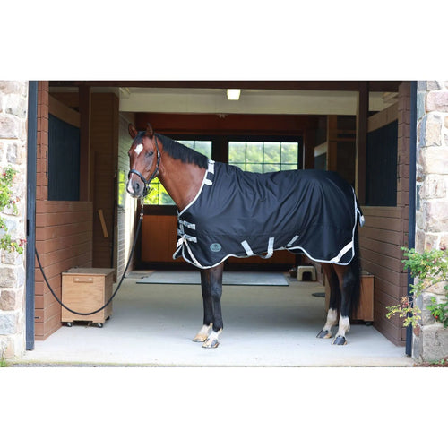 Centaur TG2 Horse Blanket