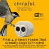 Chirpful Smart Camera - 4k Camera | Solar-Powered | AI-Driven