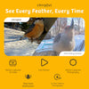 Chirpful Smart Camera - 4k Camera | Solar-Powered | AI-Driven