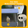 Chirpful Smart Camera - 4k Camera | Solar-Powered | AI-Driven