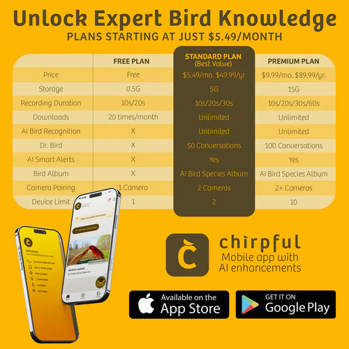 Chirpful Smart Bird Feeder - 4k Camera | Solar-Powered | AI-Driven