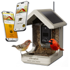 Chirpful Smart Bird Feeder - 4k Camera | Solar-Powered | AI-Driven