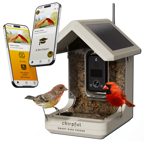 Chirpful Smart Bird Feeder - 4k Camera | Solar-Powered | AI-Driven