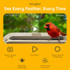 Chirpful Smart Bird Feeder - 4k Camera | Solar-Powered | AI-Driven