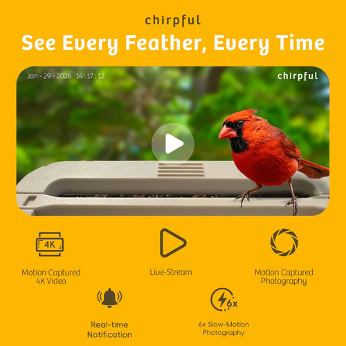 Chirpful Smart Bird Feeder - 4k Camera | Solar-Powered | AI-Driven