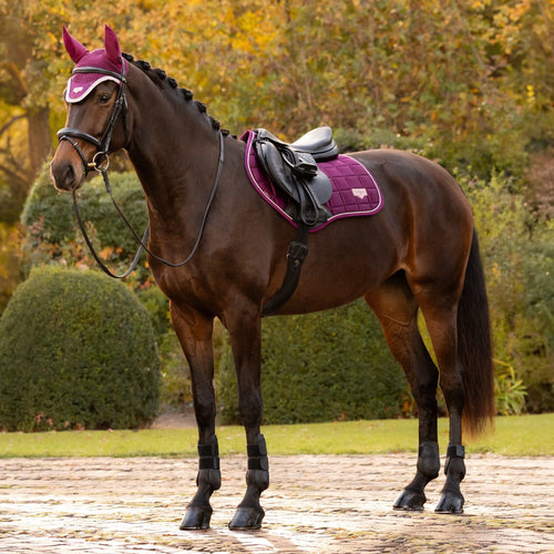Lemieux Loire Classic Close Contact Square - Blackberry