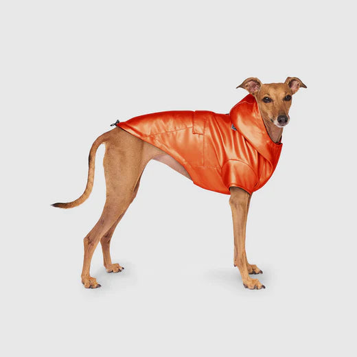 Canada Pooch Cold Front Raincoat - Orange 16