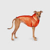 Canada Pooch Cold Front Raincoat - Orange 14