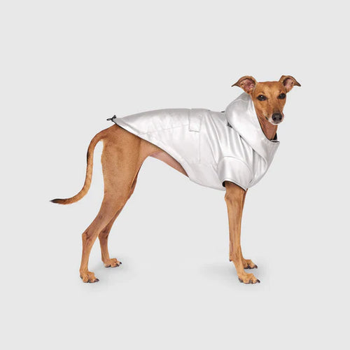 Canada Pooch Cold Front Raincoat - Silver 20
