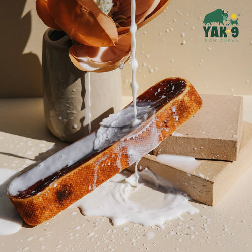 Yak9 - 100% Yak Cheese Chews for Dogs - Small (4oz)