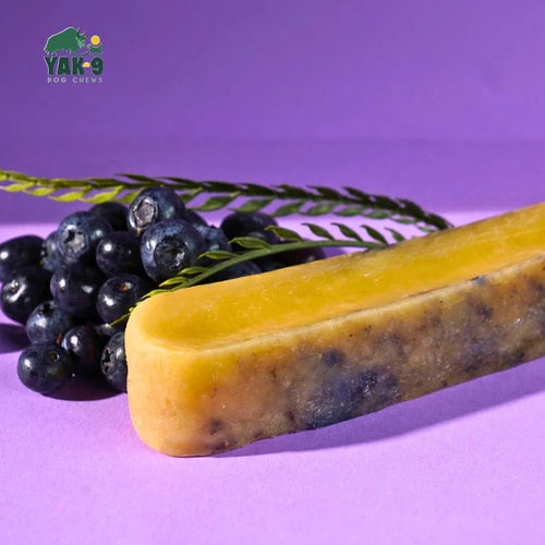 Yak-9 Blueberry Cheese Chews for Dogs - Small 1 piece (4oz)