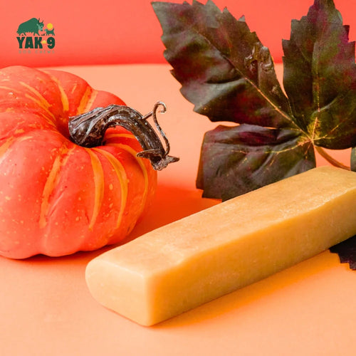 YAK-9 Pumpkin Cheese Chews for Dogs - Small 1 piece (4oz)