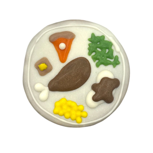 TURKEY DINNER DOG COOKIE