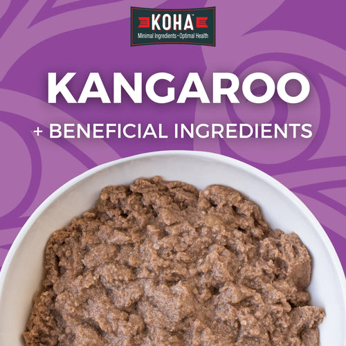 KOHA Kangaroo Dog Food: Limited Ingredient Diet Kangaroo Entrée for Dogs - 13oz