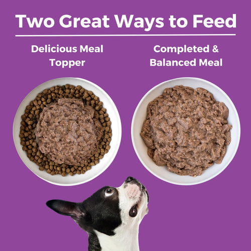 KOHA Kangaroo Dog Food: Limited Ingredient Diet Kangaroo Entrée for Dogs - 13oz